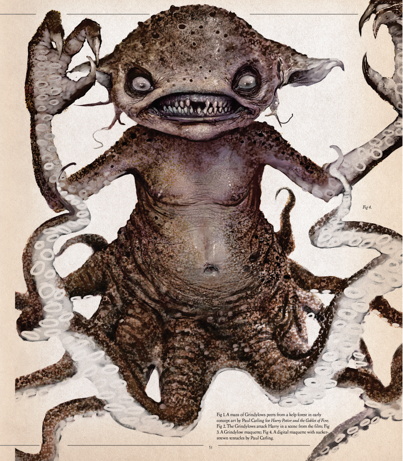 Illustration for article titled Harry Potter's Dragons And Other Beasts, As You've Never Seen Them